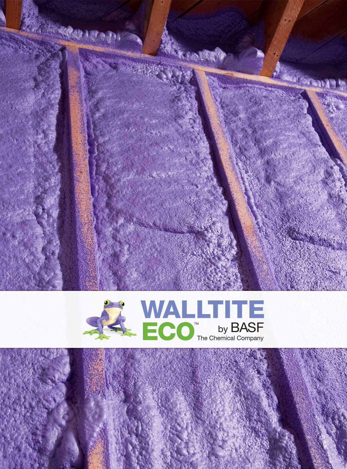 Walltite Eco Foam Insluation